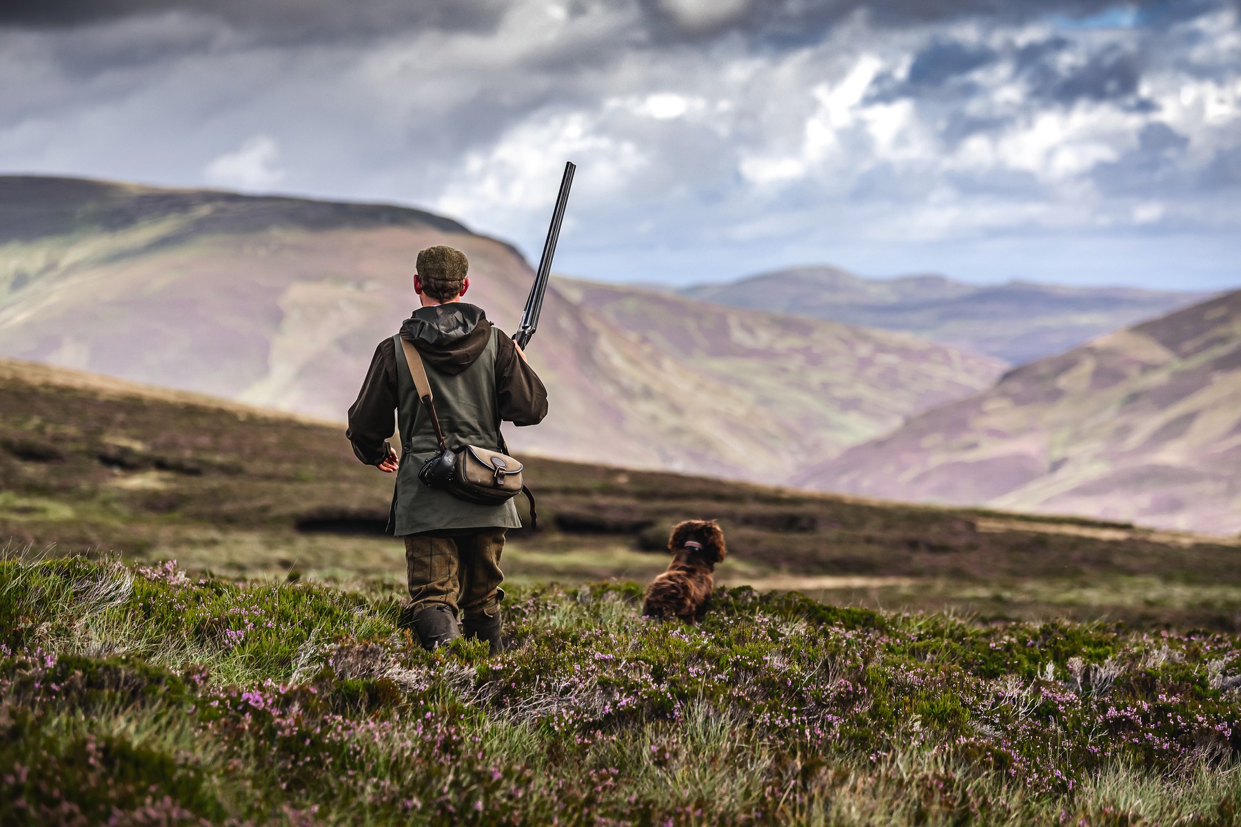 A Gun walking up with a dog on a heather hill, with mountains beyond