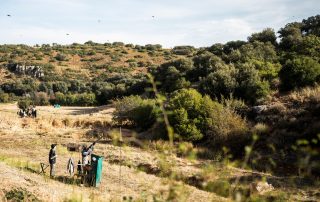 Guns on a peg during a driven partridge drive in the hills of the El Crespo Estate, Spain