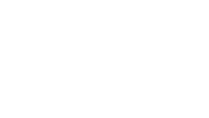 Sporting Gun